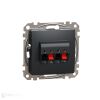 Sedna - Zásuvka reproduktor. dvojitá antracit *SDD114411 Schneider electric