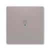 Zoni® 6220T-A01003 244 kryt jednonásobný, symbol "scény" barva greige ABB