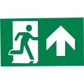 Pictogram EXILON 4,5W - forth určený pro svítidlo GXNO075 *GXNO078 Greenlux