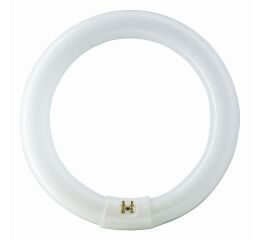 Zářivka kruhová PHILIPS TL-E 32W/840 G10q  bílá