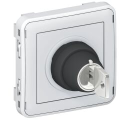PLX55 SPÍNAČ 3A 2POL. NA KLÍČ  *069534 Legrand