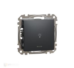 Sedna D/E - Tlačítko 1/0So "světlo" orientační kontrolka antracit *SDD114132L Schneider