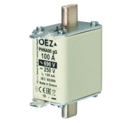 Pojistková vložka *PHNA00 100A gG  OEZ