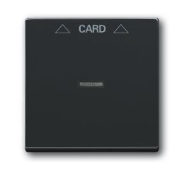 Future® linear 2CKA001710A3639 kryt spínače kartového, s čirým průzorem barva antracitová ABB