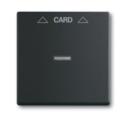 Future® linear 2CKA001710A3905 kryt spínače kartového, s čirým průzorem barva mechová černá ABB