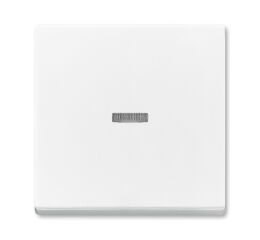 Future® linear 3559B-A0065384 kryt spínače jednoduchý, s čirým průzorem barva studio bílá ABB