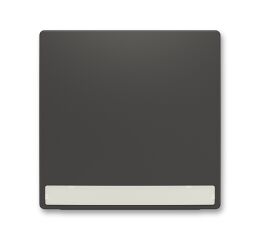 Zoni® 3559T-A00610 237 kryt spínače jednoduchý, s popisovým polem barva matná černá ABB