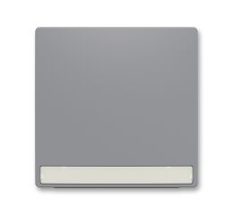 Zoni® 3559T-A00610 241 kryt spínače jednoduchý, s popisovým polem barva šedá ABB