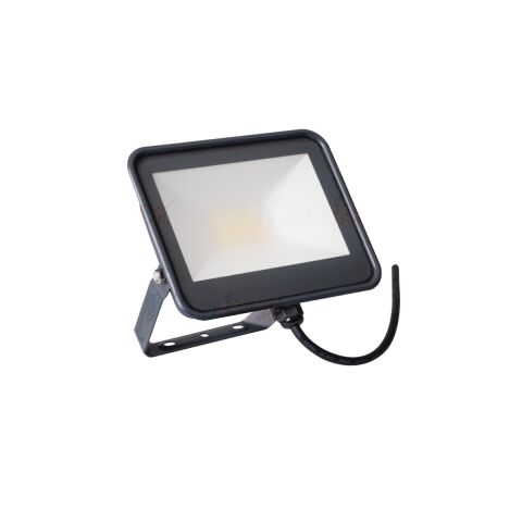 Reflektor FL-20W-NW Reflektor LED  *33881
