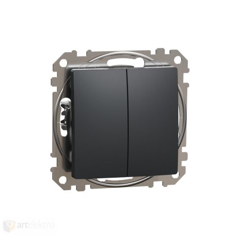 Sedna - Tlačítko dvojité 1/0+1/0 antracit *SDD114118 Schneider electric