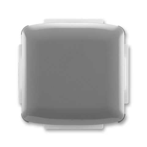 Tango 3902A-A001 S2 kryt zaslepovací, s upevňovacím třmenem barva kouřová šedá *ABB