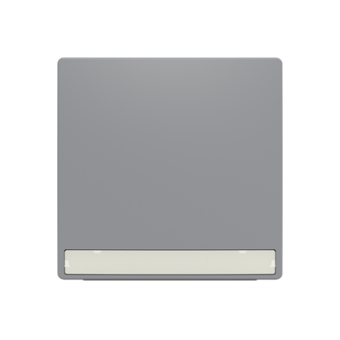 Zoni® 3559T-A00610 241 kryt spínače jednoduchý, s popisovým polem barva šedá ABB