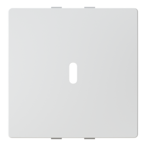 Zoni® 5014T-A00100 240 Kryt pro přístroj nabíjecí USB-C (65 W), matná bílá 2CHT290100A4240 ABB